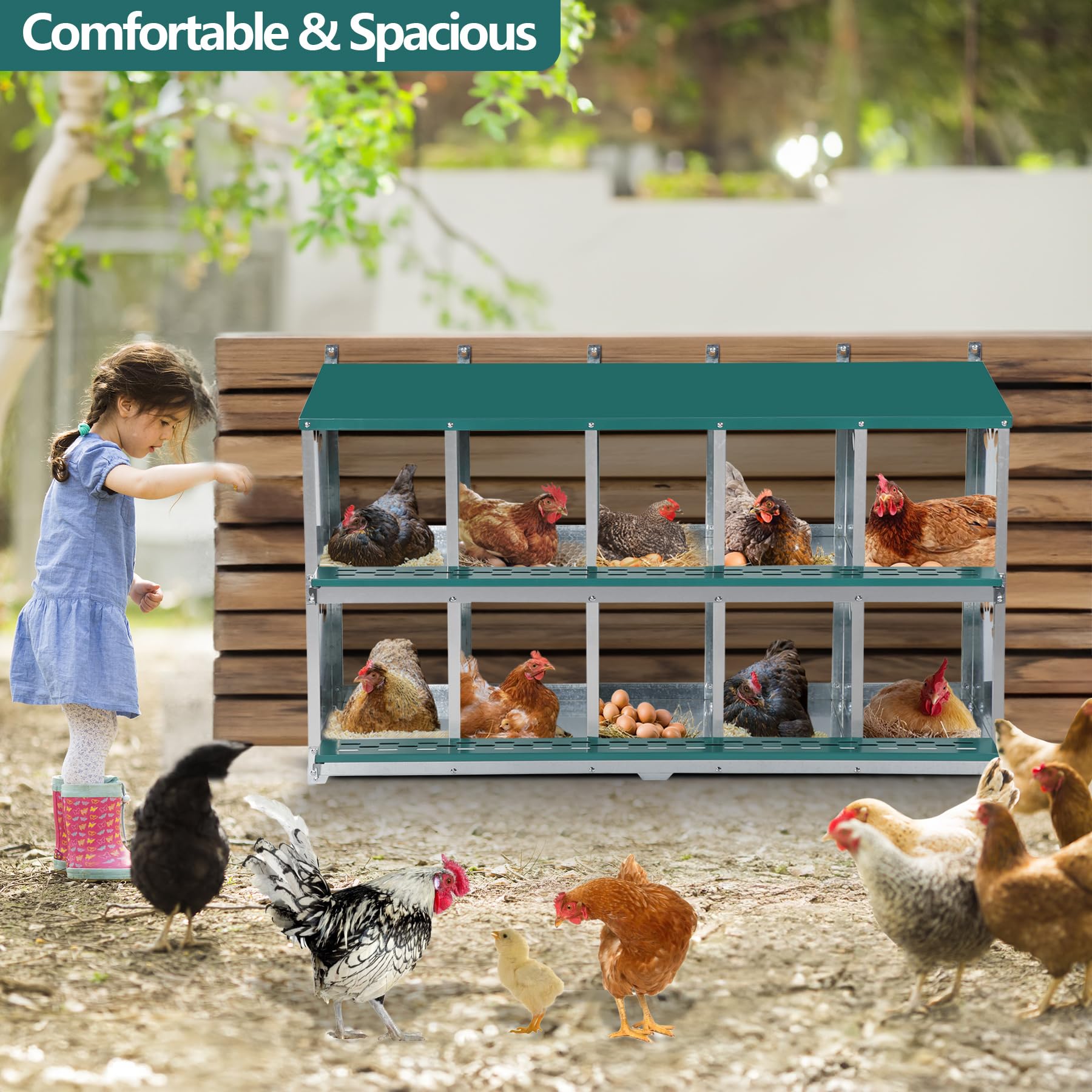 Chicken Nesting Box, 10 Compartment Nesting Box, 10 Room Metal Nesting Boxes