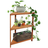 Meranti Wood 3-Tier Corner Plant Stand Shelves with Teak Oil Finish