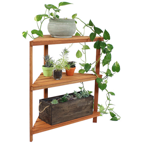 Meranti Wood 3-Tier Corner Plant Stand Shelves with Teak Oil Finish