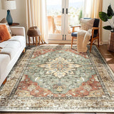 Area Rugs 5x7, Washable Rug, Non-Slip, Rugs for Living Room, Kitchen Rugs, Rugs