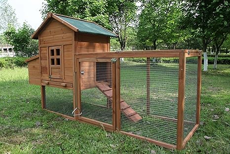 Chicken Coop Outdoor Wooden Rabbit Hutch Poultry House