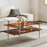 Tadio Double Layer Glass Coffee Table for Living Room, Brown Glass & Coffee Brown