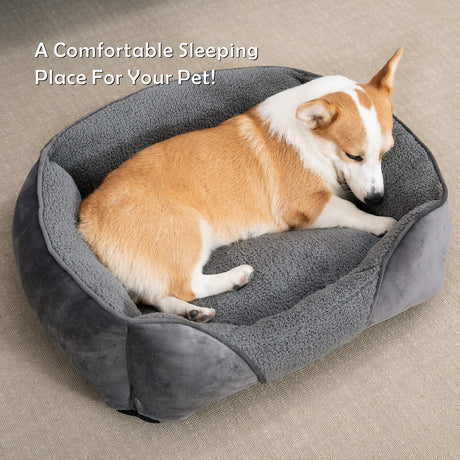 Small Dog Bed for Small Dogs, Rectangle Washable & Orthopedic Dog Bed