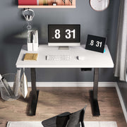 Electric Standing Desk Adjustable Height Desk, 40 x 24 Inches Stand up Desk, Ergonomic