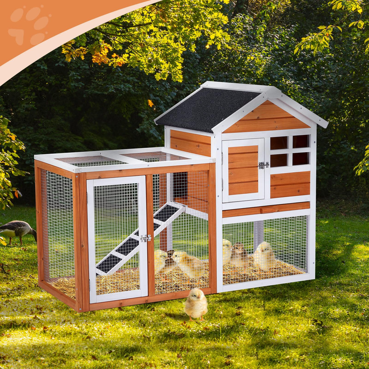 Rabbit Hutch, Small Wood Chicken Coop, 48" Guinea Pig Cage w/Pull-Out Tray