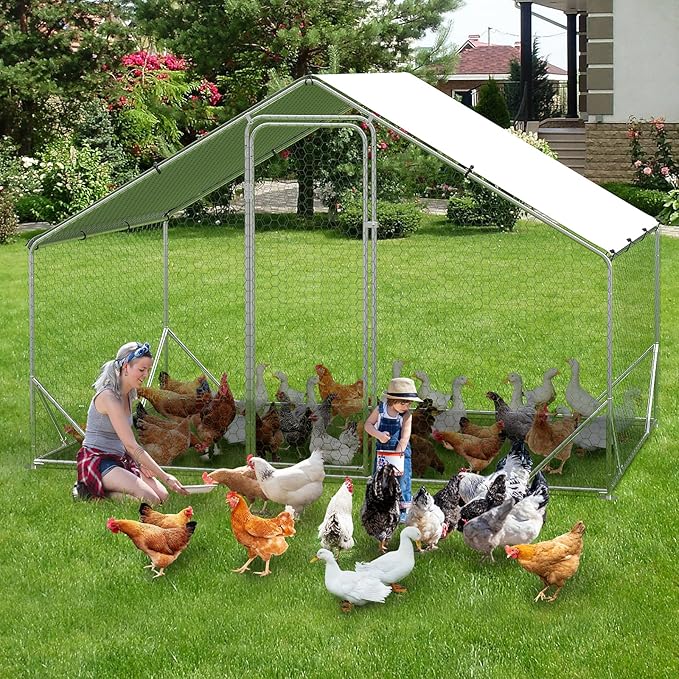 FortiRoost Large Chicken Coop – Galvanized Frame with Waterproof Canopy & PVC Mesh