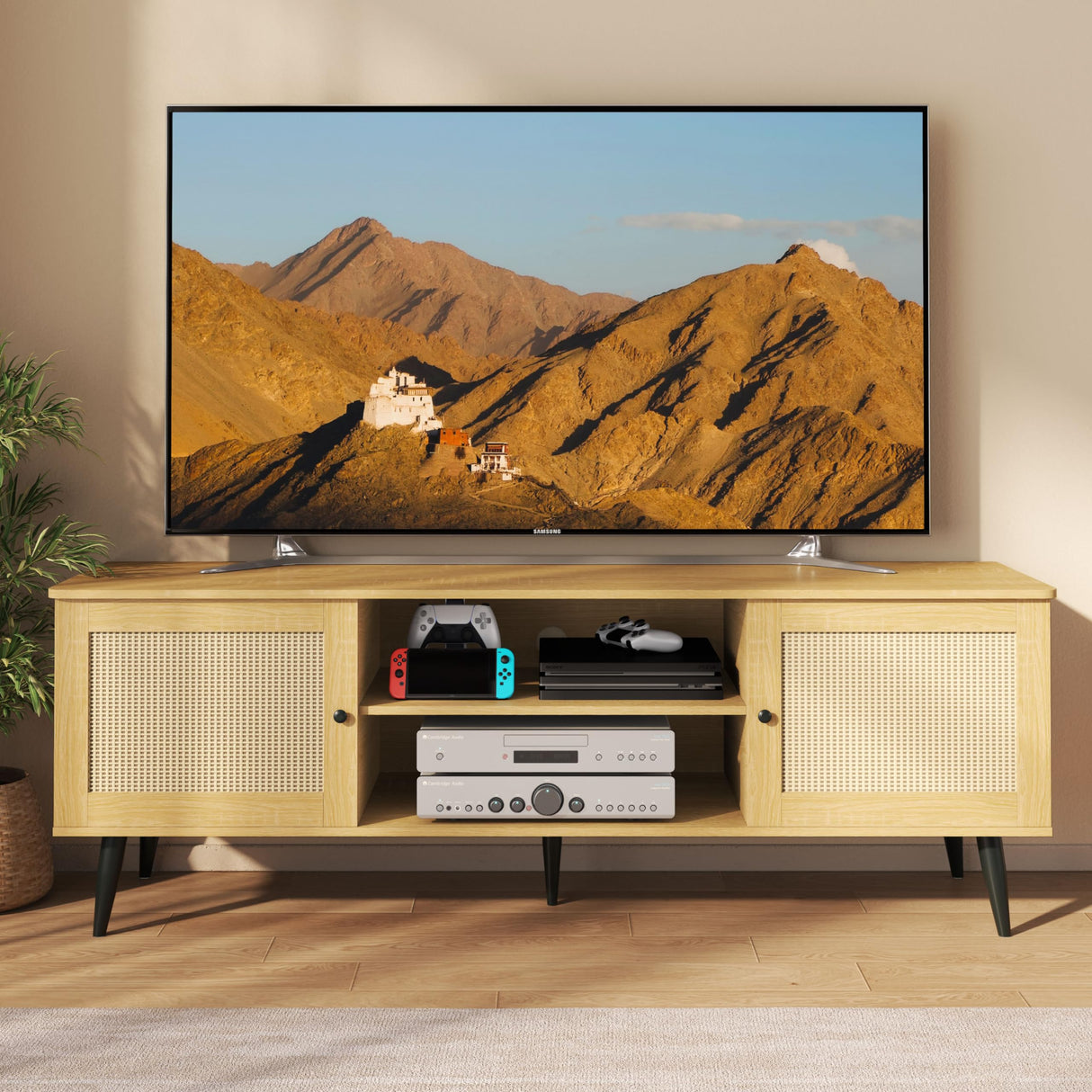 TV Stand for Living Room, for 55 Inch TV, Rattan Entertainment Center with 2 Cabinets,