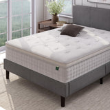 12 Inch Euro Top Pocket Spring Hybrid Mattress, Queen, Pressure Relief, Pocket