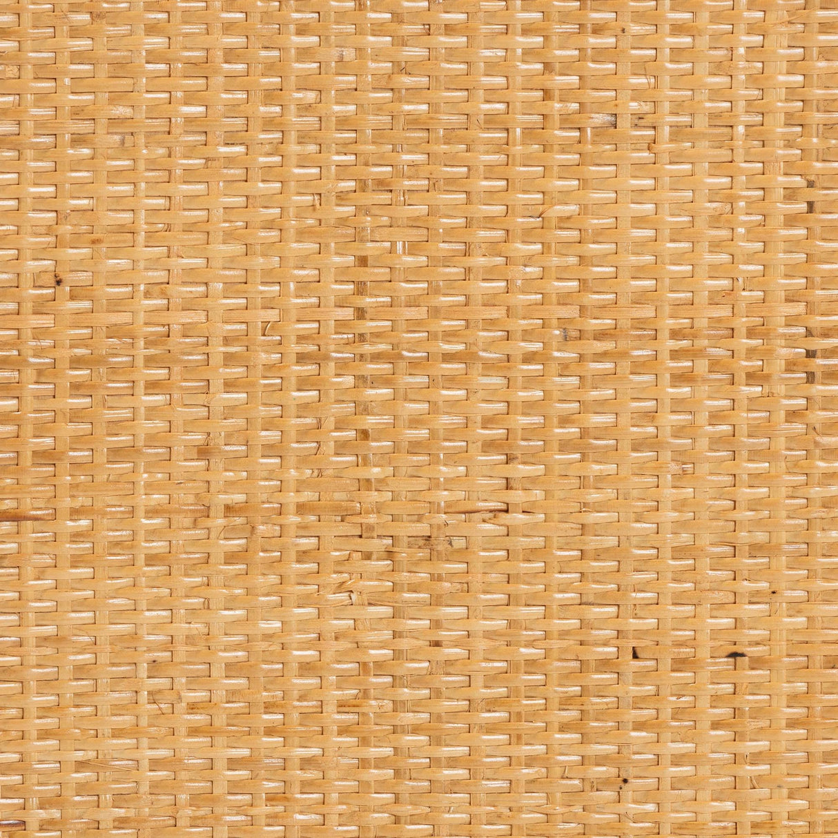 Natural Rattan Storage Cabinet, 2-Door, Light Honey