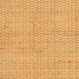 Natural Rattan Storage Cabinet, 2-Door, Light Honey