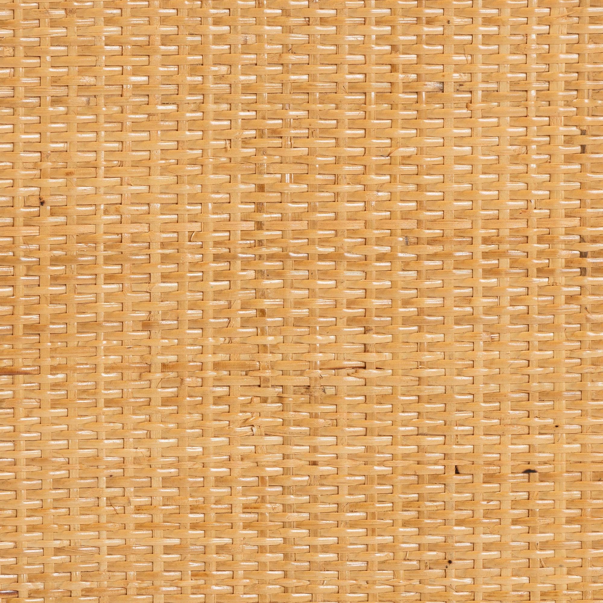 Natural Rattan Storage Cabinet, 2-Door, Light Honey