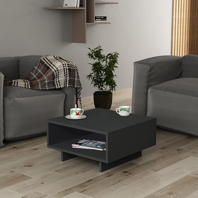 Hola 24 Inch Small Coffee Table with Storage Stylish | Modern Tables de Chevet