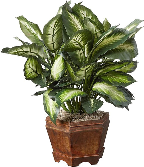 22IN Artificial Triple Golden Dieffenbachia Plant with Decorative Wood Planter