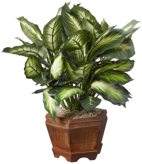 22IN Artificial Triple Golden Dieffenbachia Plant with Decorative Wood Planter