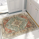 Area Rugs 5x7, Washable Rug, Non-Slip, Rugs for Living Room, Kitchen Rugs, Rugs