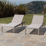 Outdoor Aluminum Chaise Lounge, Set of 2, Grey