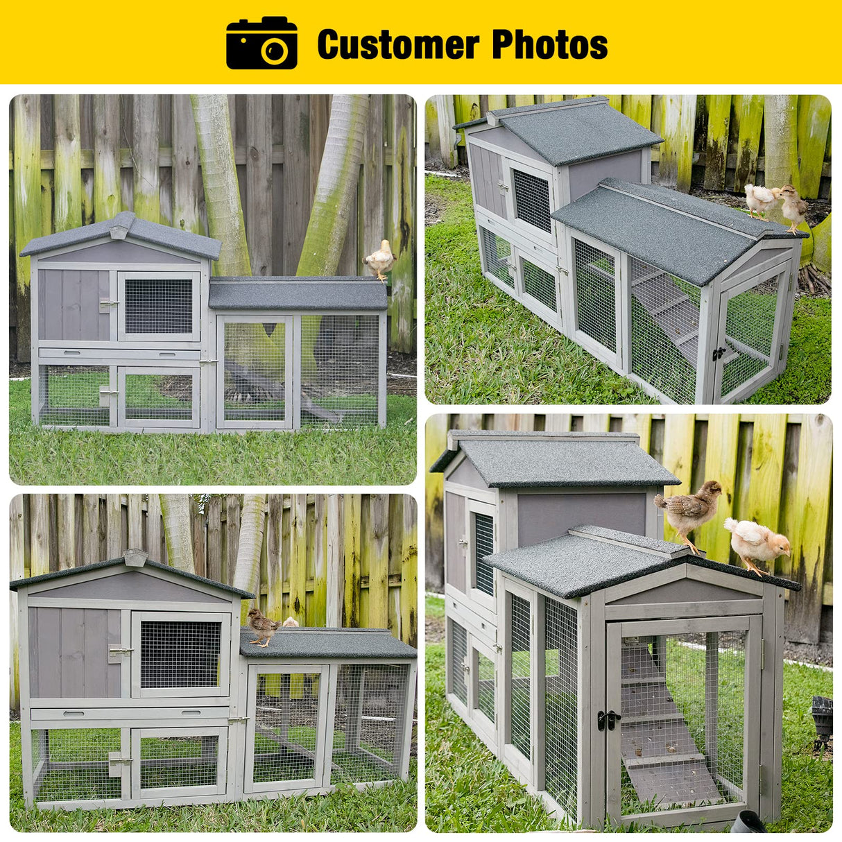 Chicken Coop for 2 Chickens, Wooden Duck House Outdoor Hen House Poultry Quail