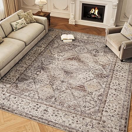 5x7 Area Rugs for Living Room Rug Machine Washable Rug Carpet Rugs