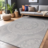 Home Medallion Outdoor Rug 6x9 Washable Outside Carpet for Indoor Patio Porch