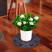 6Pack Large 15" Plant Level Pot Elevator, Heavy Duty Plant Stands, Plant Pot Sauce