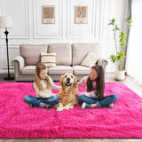 Fluffy Rug Washable 4x6 Feet, Hot Pink Fuzzy Rugs for Bedroom Girls,