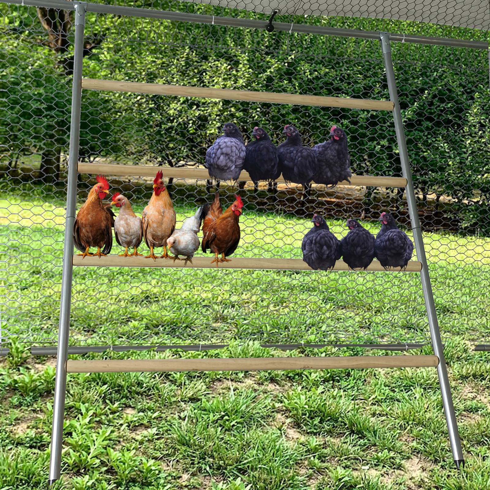 PerchPro XL Chicken Roost – Galvanized Pipe & Wood Perch for Metal Coops