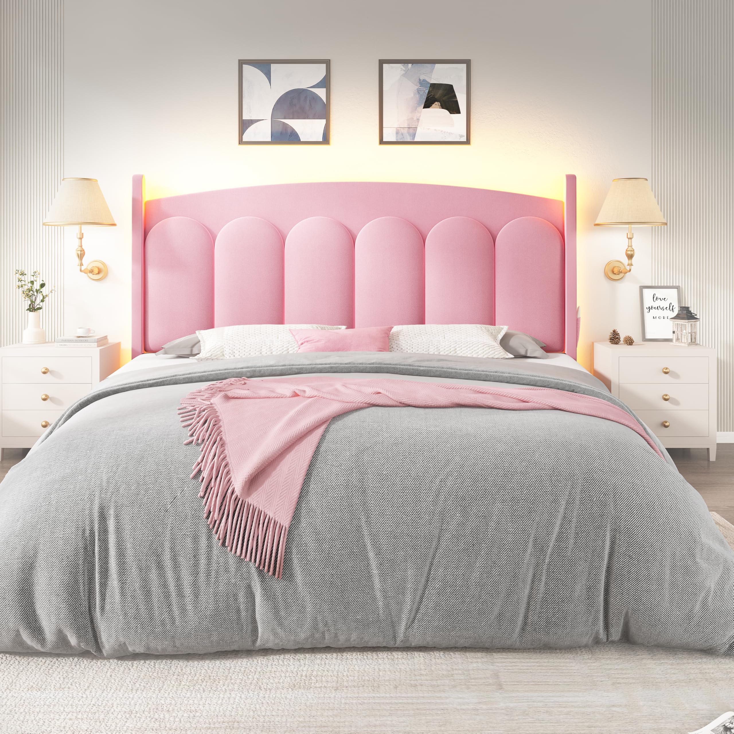 Queen Bed Frame with LED Lights and Adjustable Headboard