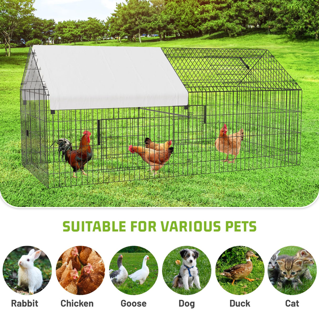 Chicken Coop Upgrade Durable Outdoor Chicken House