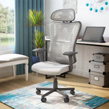 Furniture of America Domie Metal and Mesh Adjustable Office Chair in Gray