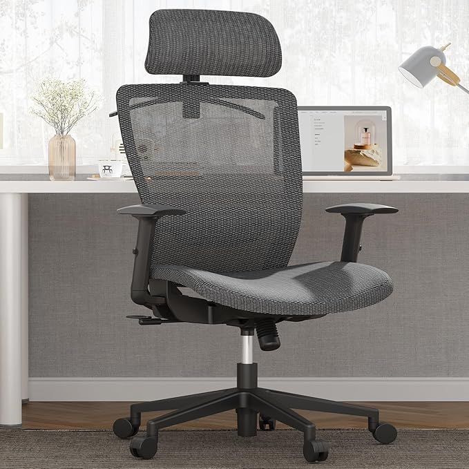 Office Chair, Comfy Ergonomic Back Support, Computer Desk Chair with Comfy Seat