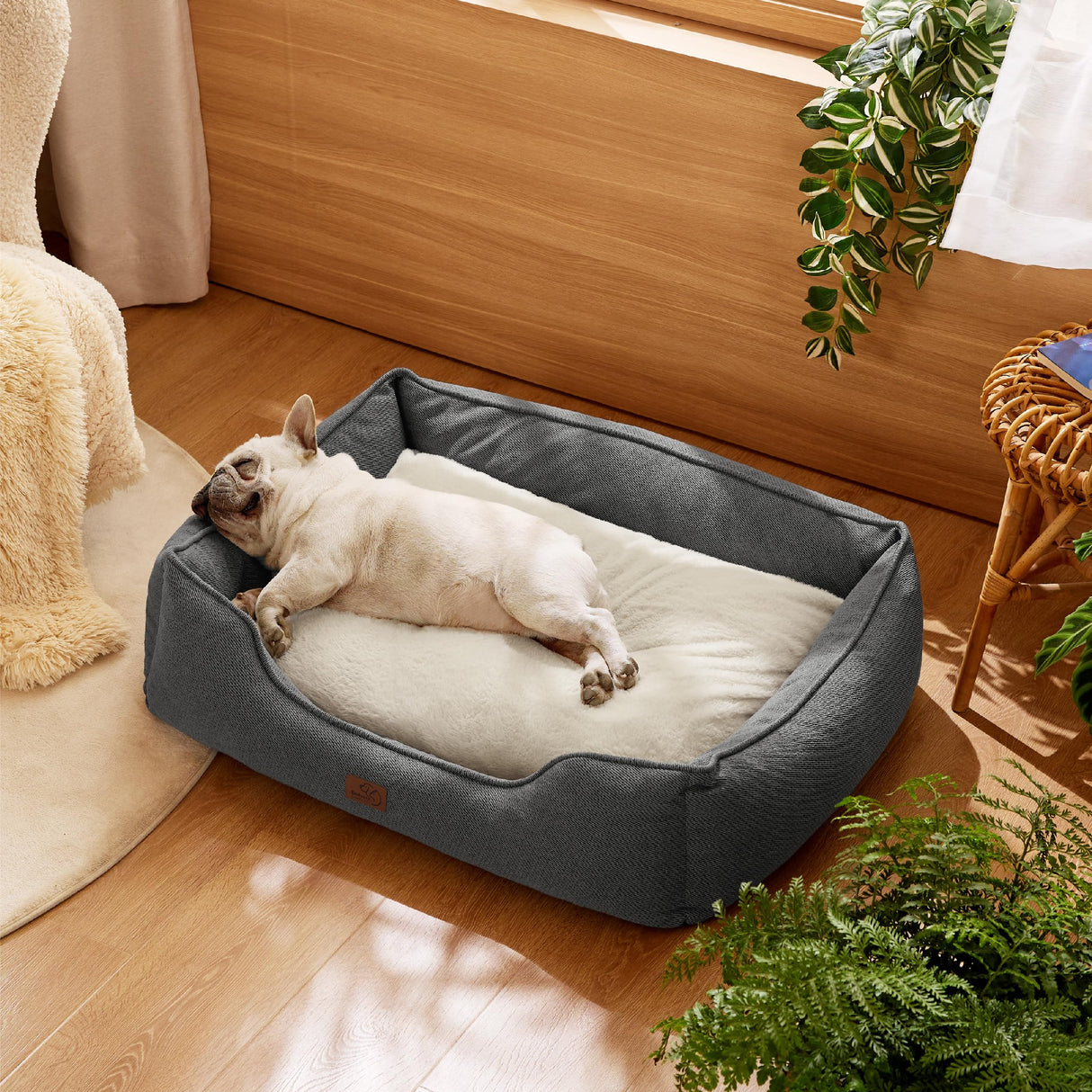 Bedsure Washable Dog Bed for Medium Dogs - Waterproof All-Season Foam Puppy Beds, Orthopedic Rectangle Cuddle Indoor Cat Beds with Removable Zipper Cover, 30x24x9inches, Grey