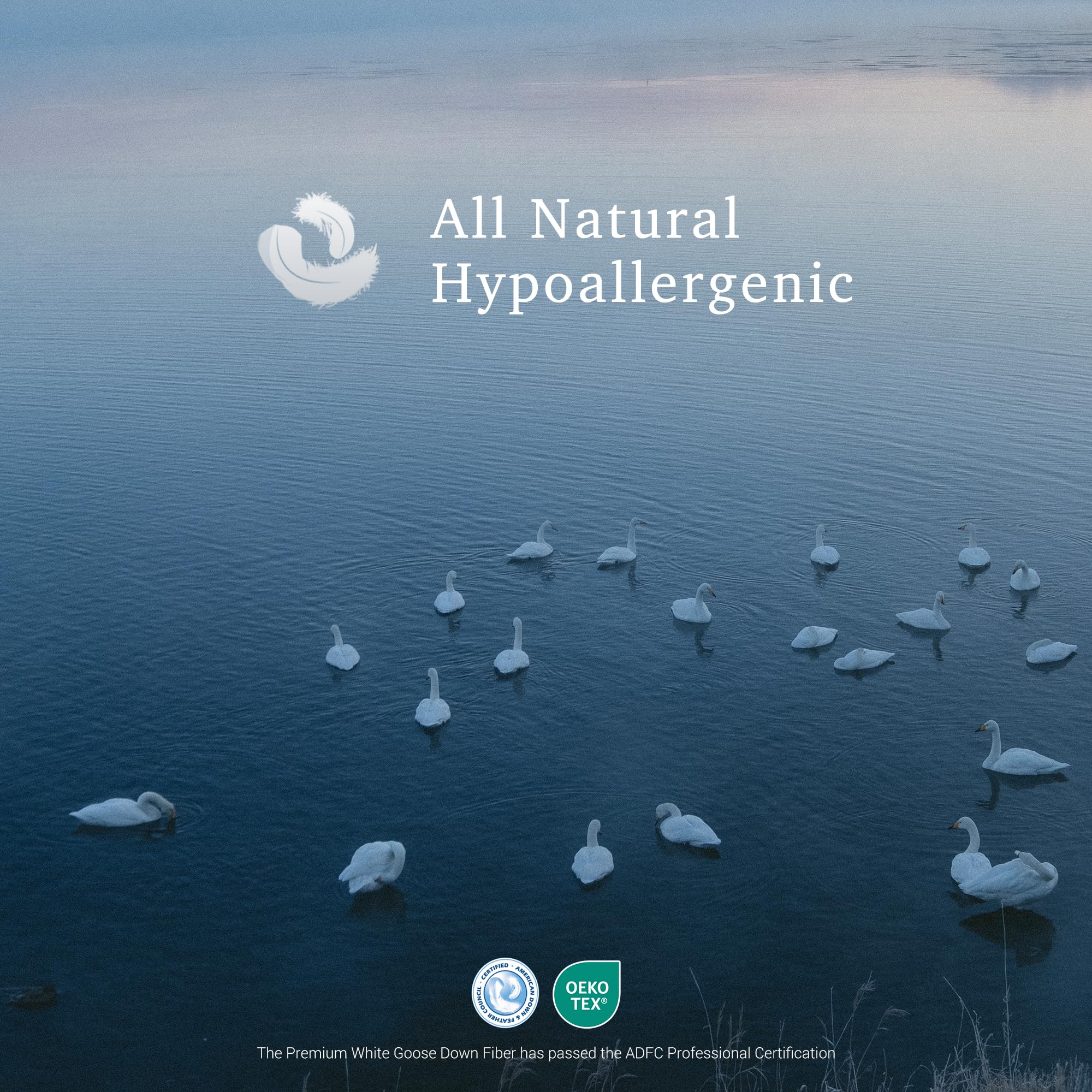 Hotel Grand White Goose Down Fiber Comforter King, Hotel Collection Hypoallergenic Goose Down Fiber Duvet Insert King, Extra Warmth Bedding Comforter for Cold Weather 65oz, 106 x 90 Inch