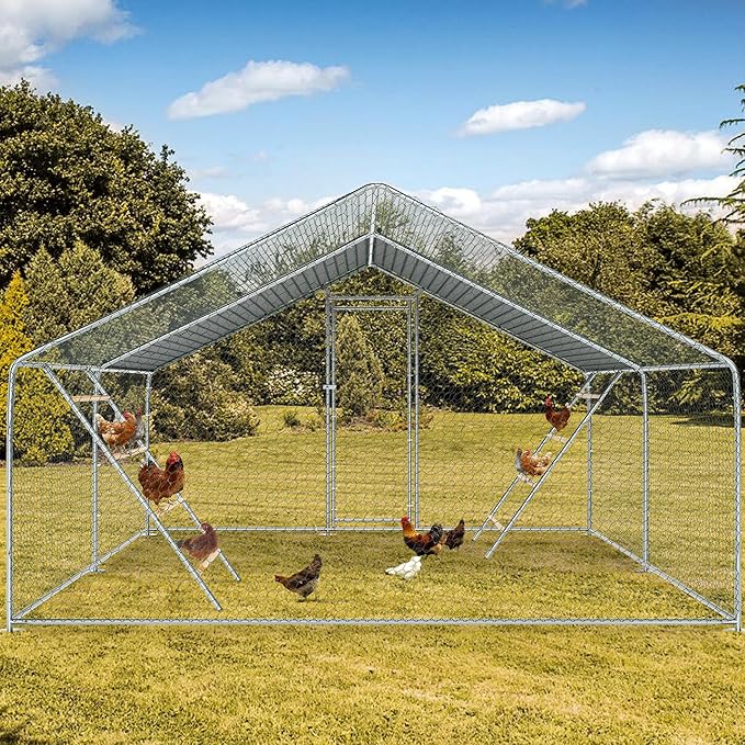 RoostMate Chicken Roost with Galvanized Pipe & Wood Design
