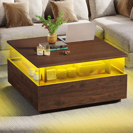 Coffee Tables for Living Room, Coffee Table with Storage, Acrylic Coffee Table