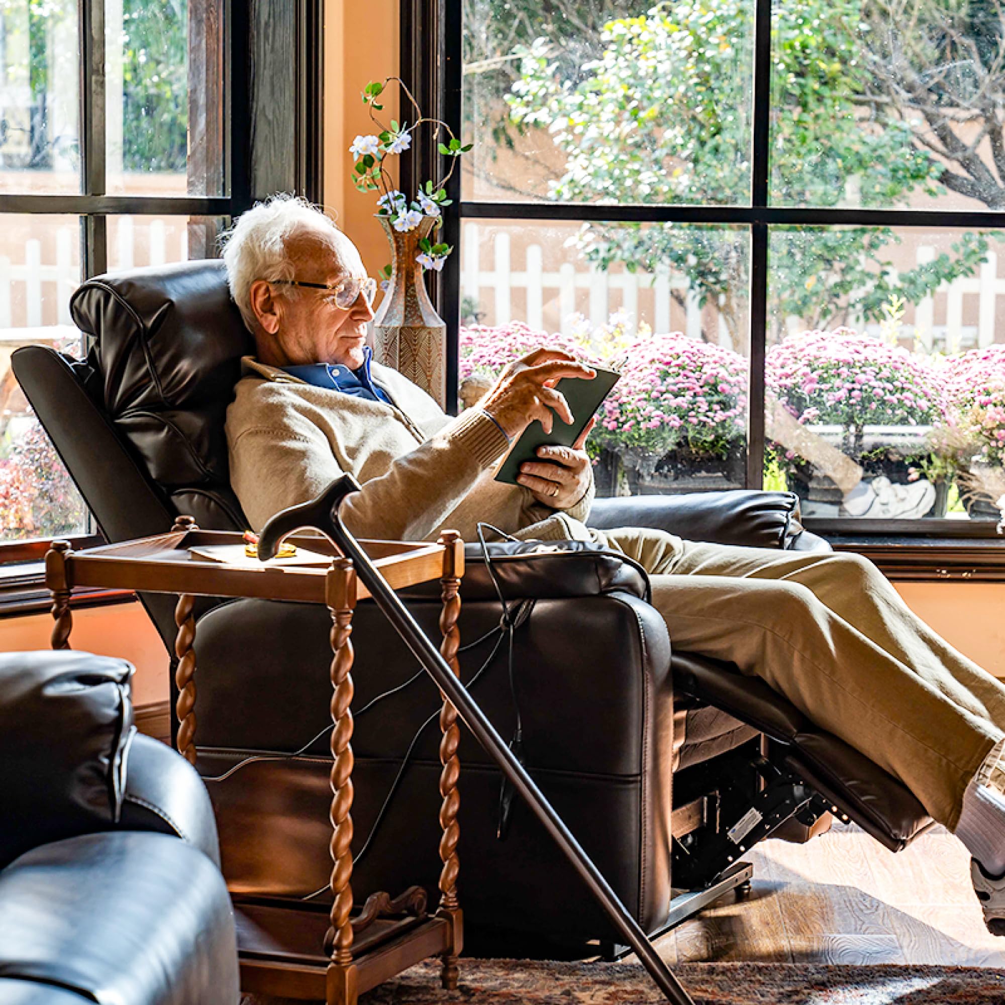 Flexispot Dual Motor Power Lift Recliner Chair with Massage & Heat