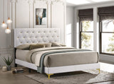 Kendall 49-Inch Upholstered Bed Queen Size Modern Panel Bed Frame Velvet Upholstery