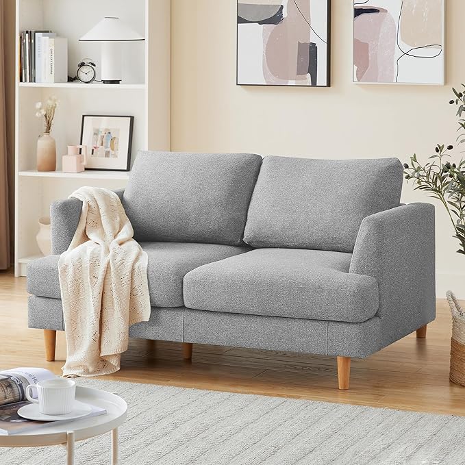 Loveseat - Mid Century Modern 65" Sofa, 2-Seat Upholstered Couch
