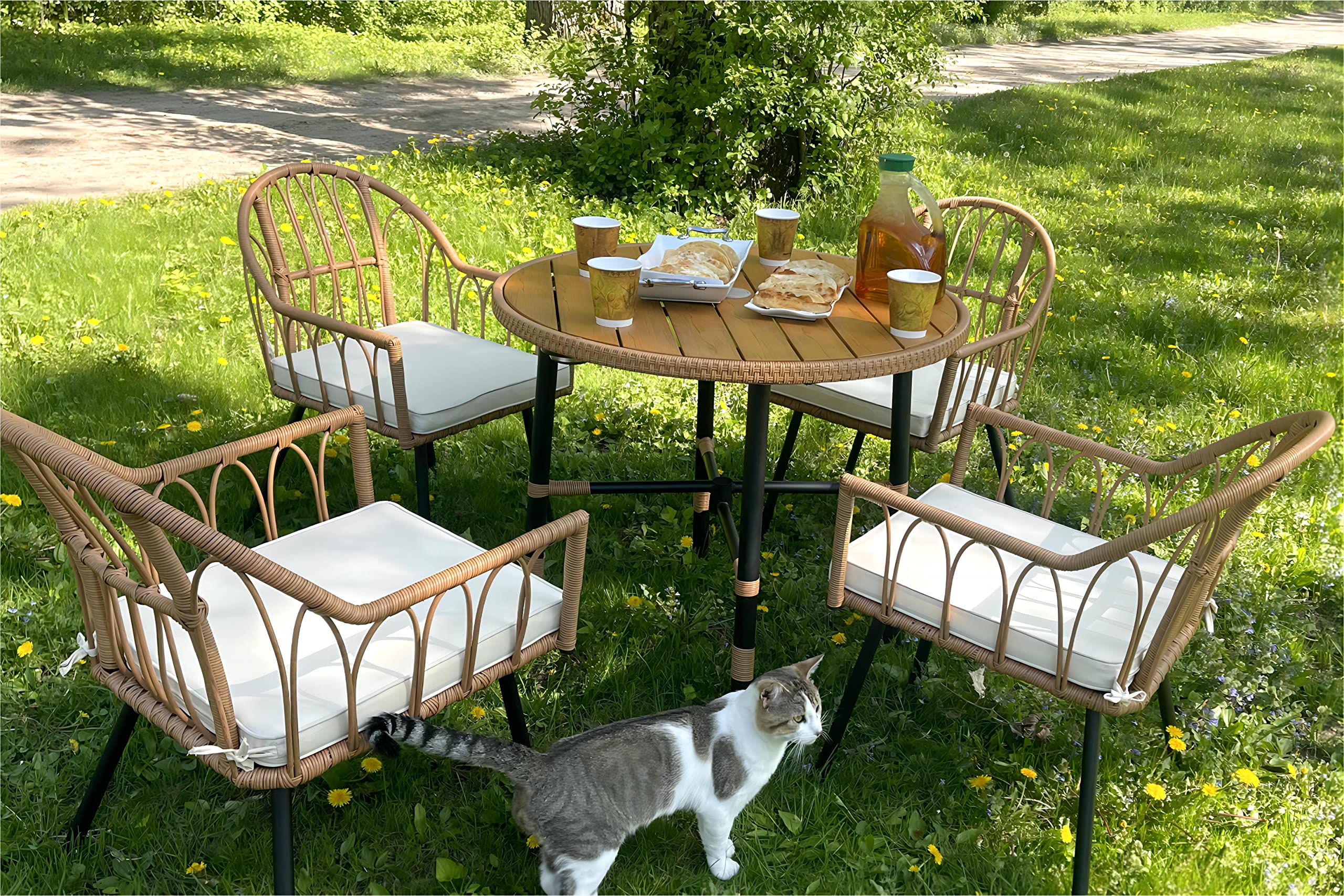 5 Pieces Outdoor Patio Dining Table Chair Set,Wicker Patio Dining Set
