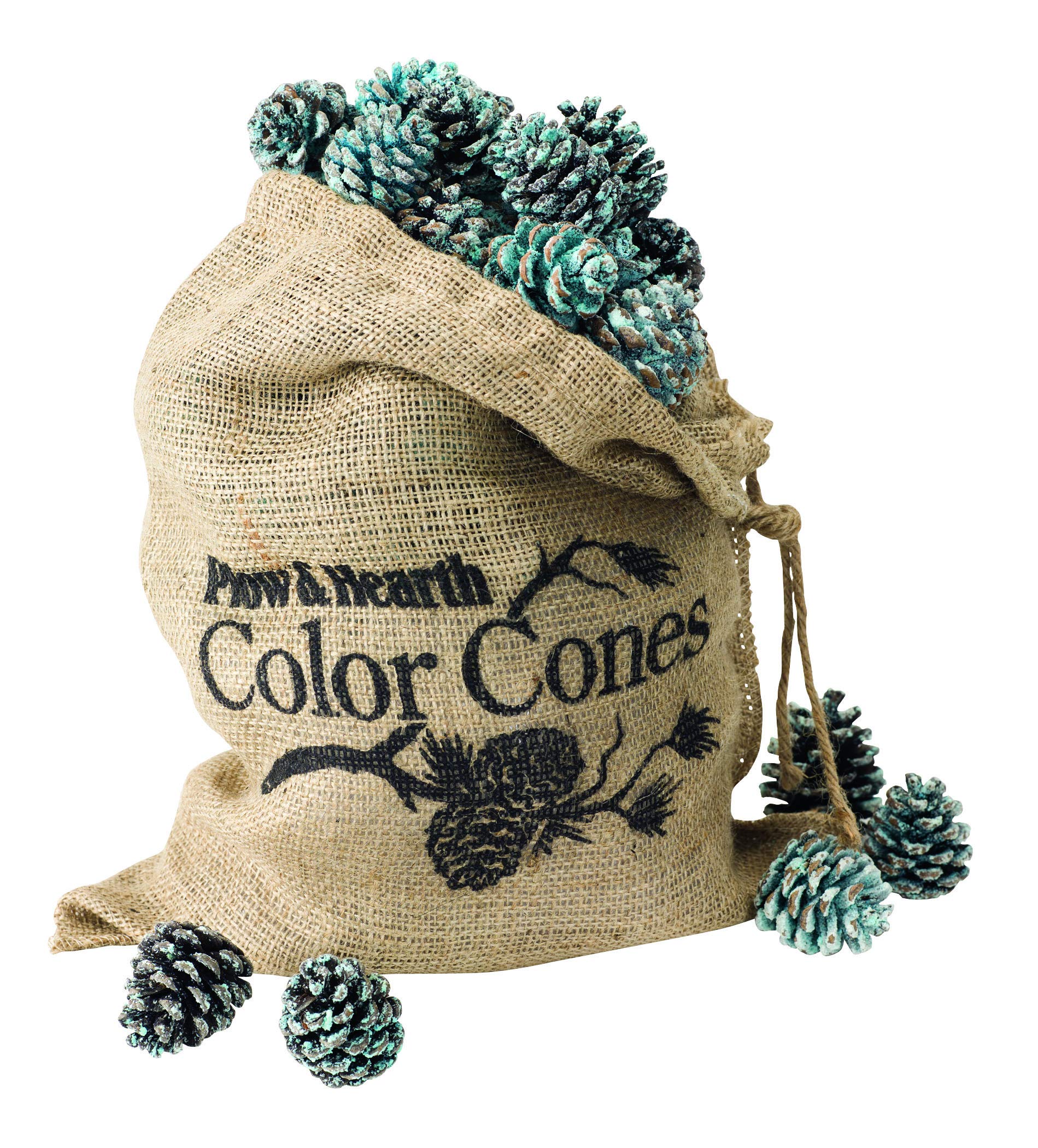 Fireplace and Firepit Color Cones, Festive Fun Rainbow Flame Changing Pine Cones