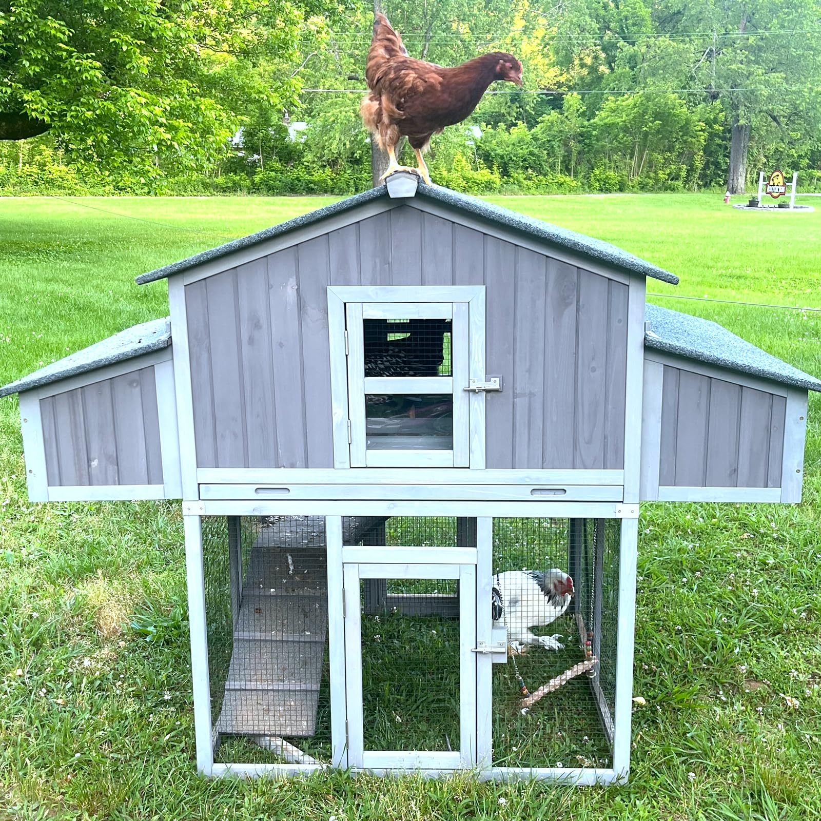 RoostRamp 2-Level Portable Chicken Coop – Nesting Box & Reinforced Frame