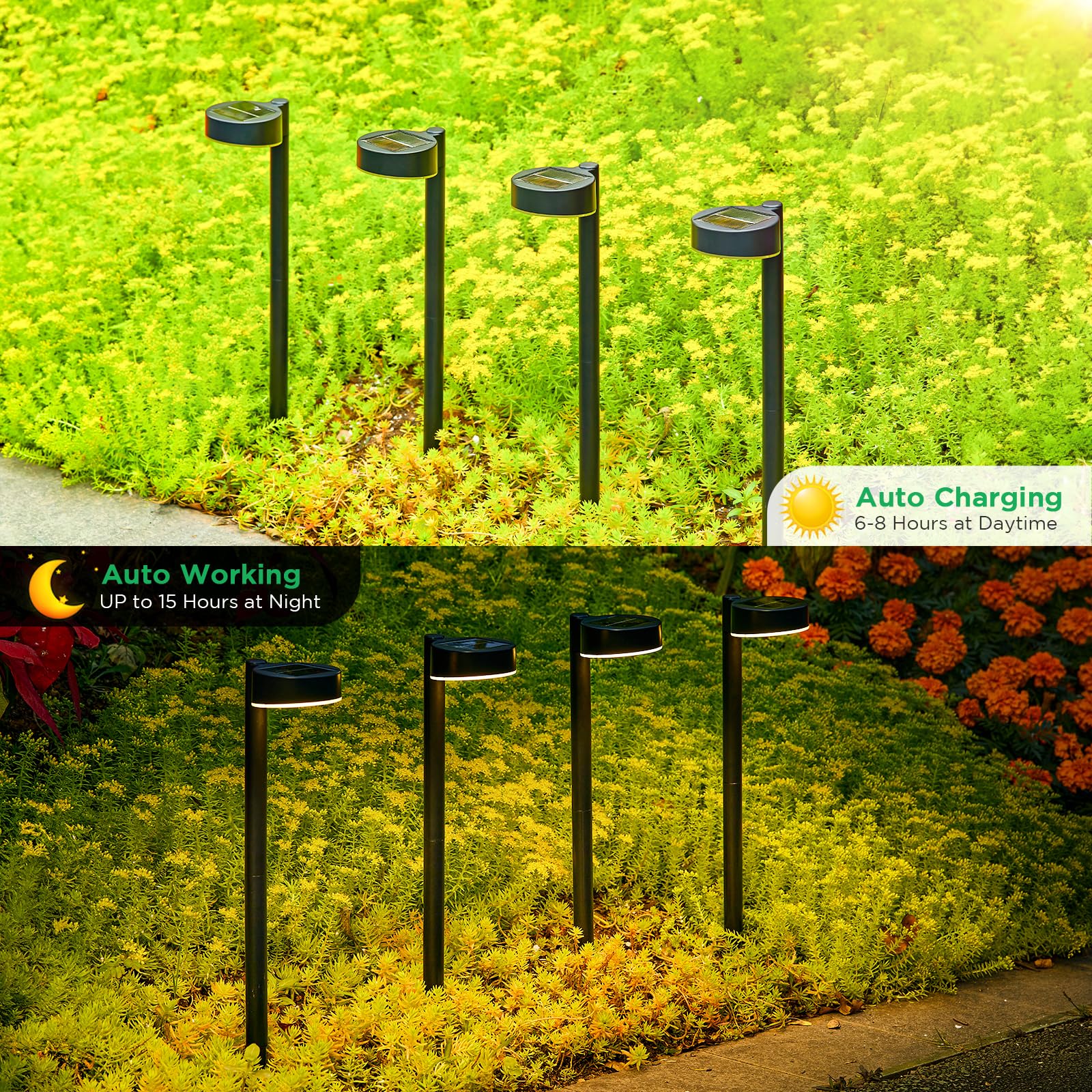 8 Pack Solar Pathway Lights Outdoor, Solar Lights for Outside with Brighter 12 LED