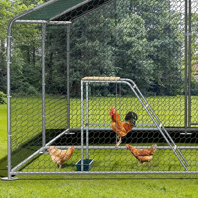 RoostMate Chicken Roost with Galvanized Pipe & Wood Design