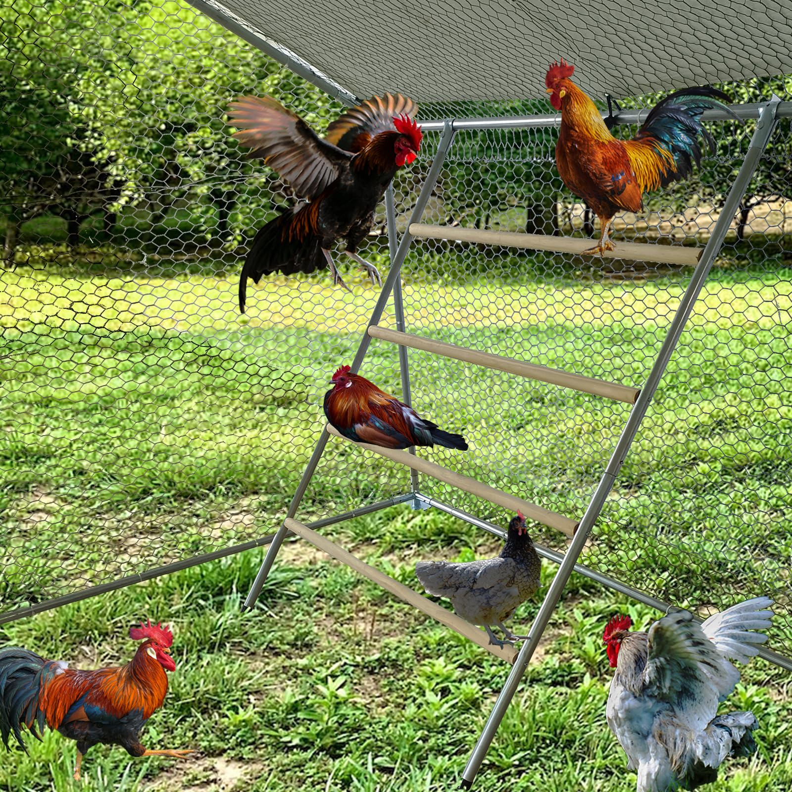PerchPro XL Chicken Roost – Galvanized Pipe & Wood Perch for Metal Coops