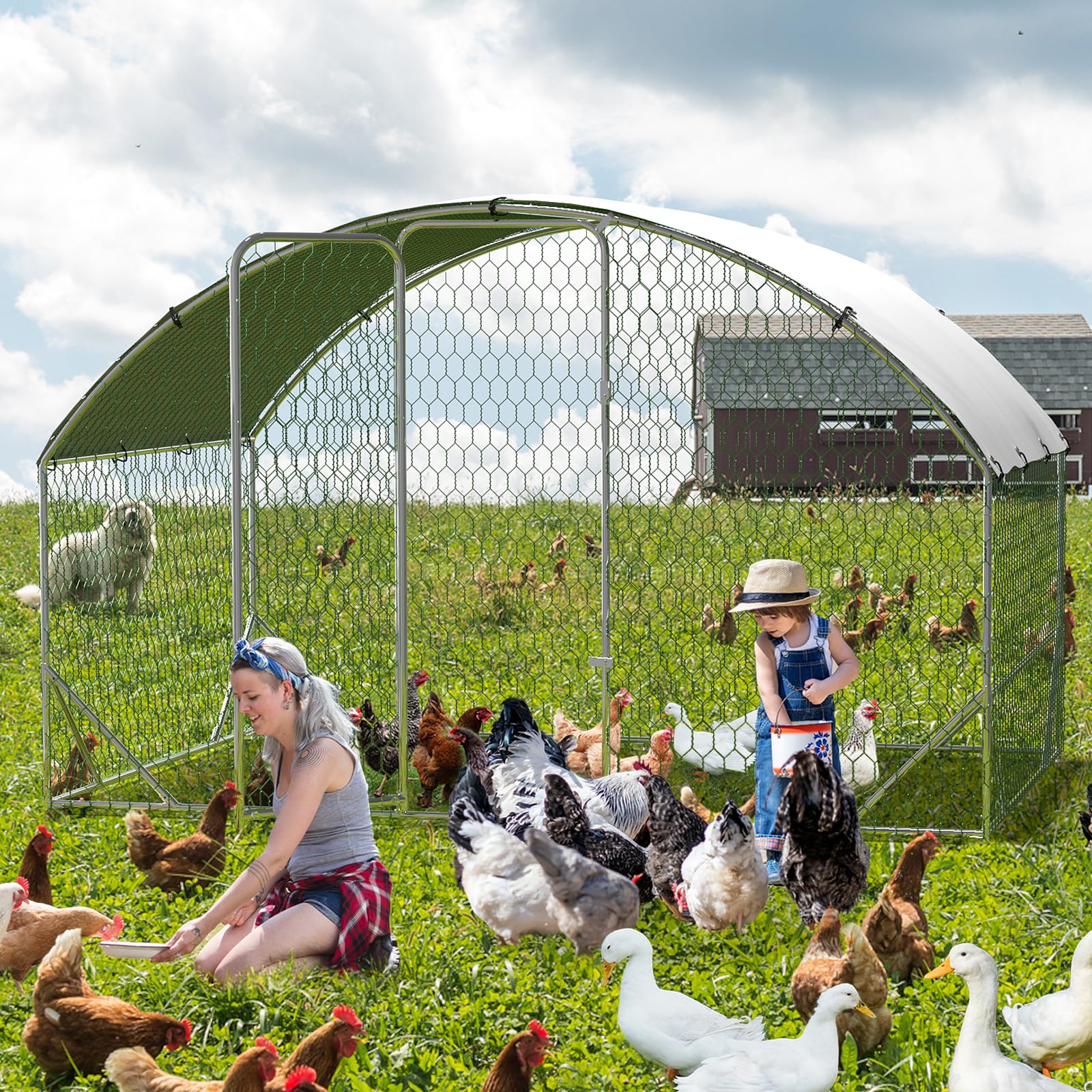 HawkGuard Chicken Coop with UV Cover & Rust-Proof Frame