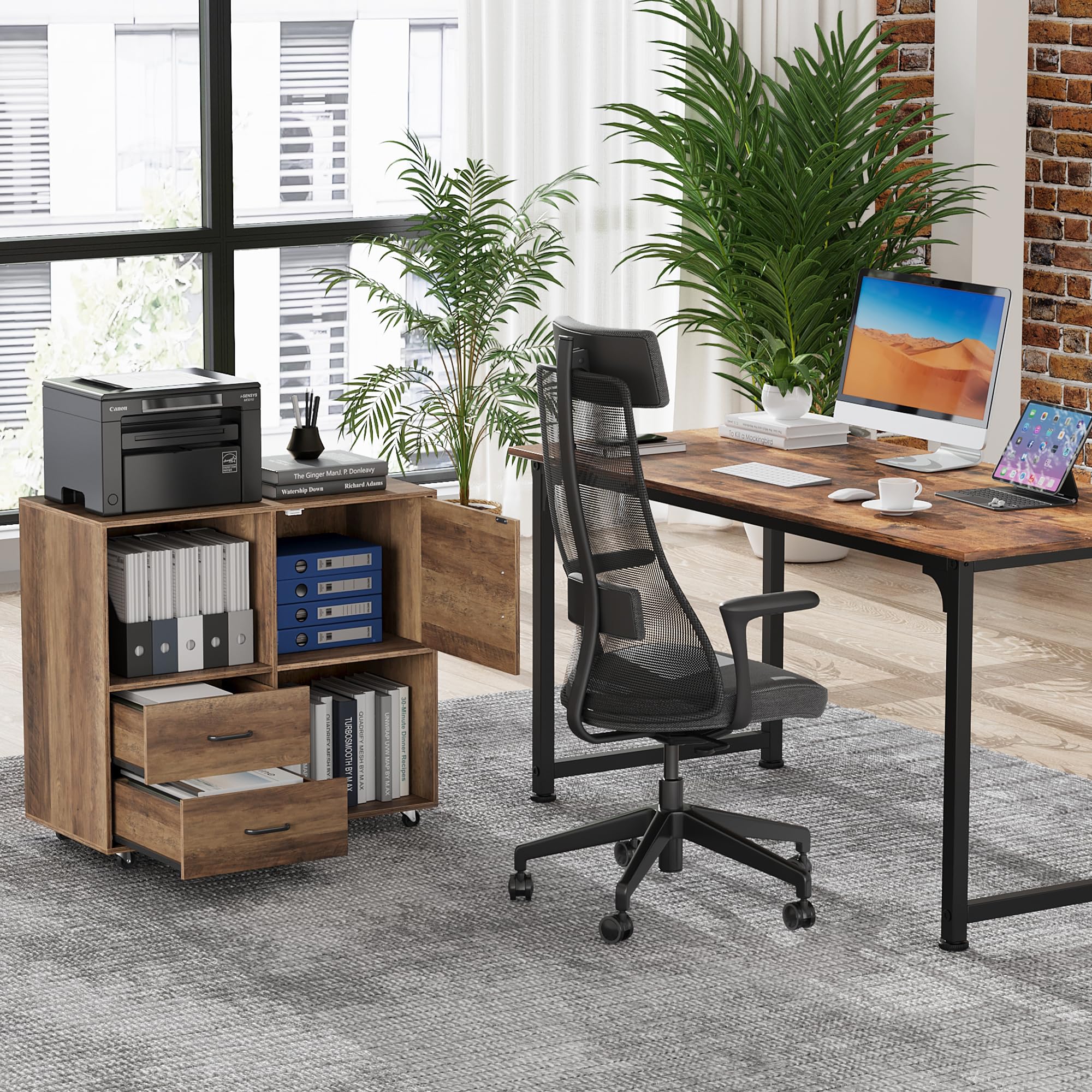 File Cabinet, Wood Filing Cabinet with 2 Drawers, Printer Stand Lateral Mobile