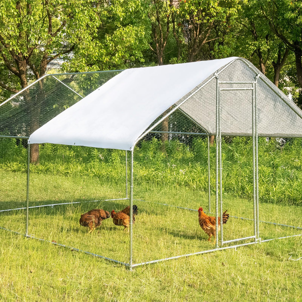 Large Chicken Coop Metal Chicken Runs Walk-in Chicken House Chicken Pen Kennel Poultry Cage