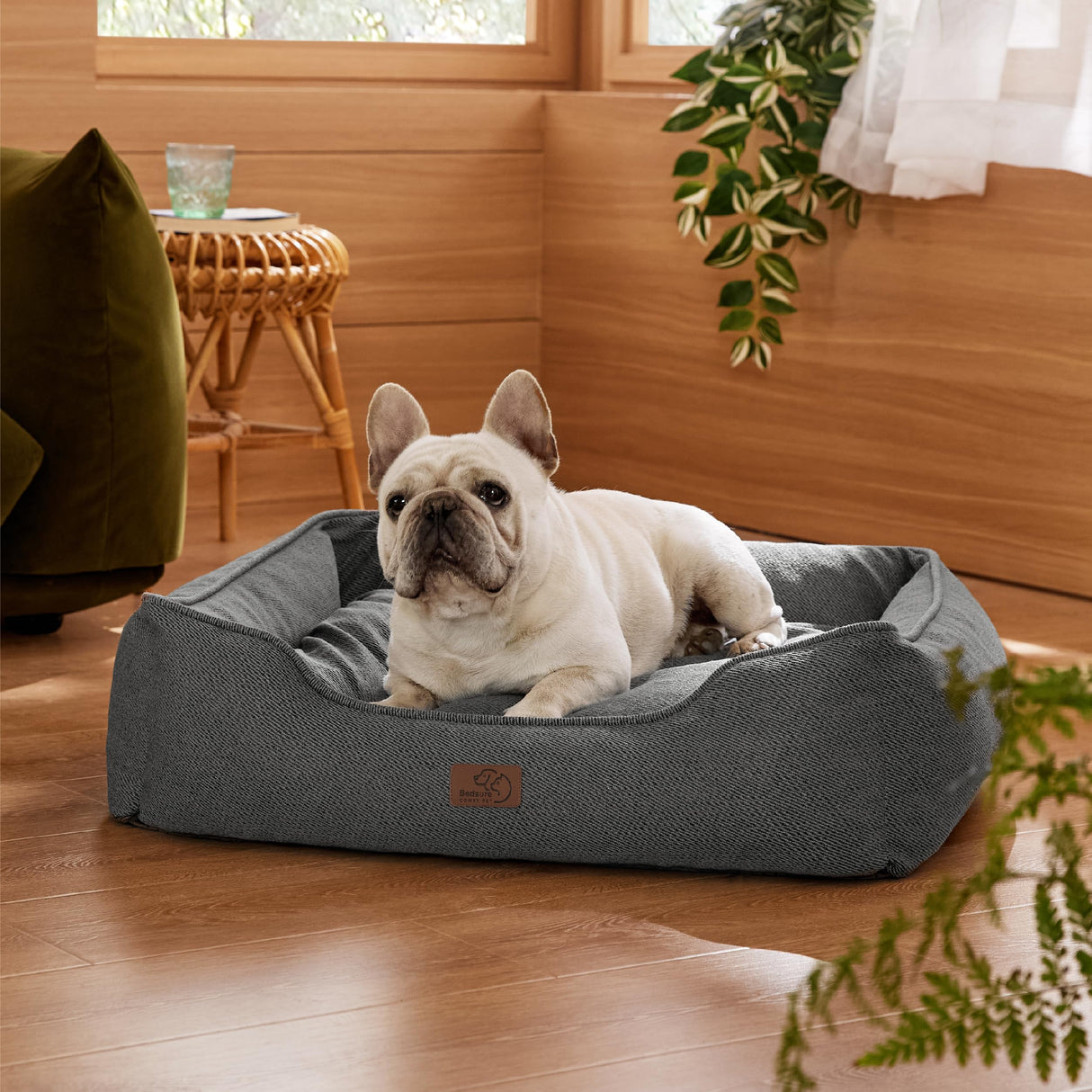 Bedsure Washable Dog Bed for Medium Dogs - Waterproof All-Season Foam Puppy Beds, Orthopedic Rectangle Cuddle Indoor Cat Beds with Removable Zipper Cover, 30x24x9inches, Grey