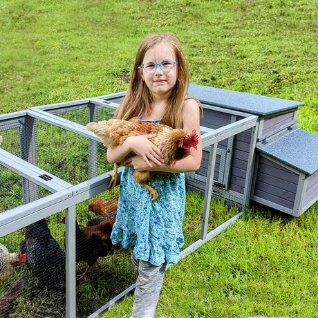 Chicken Coop Wooden Hen House Two Nesting Box