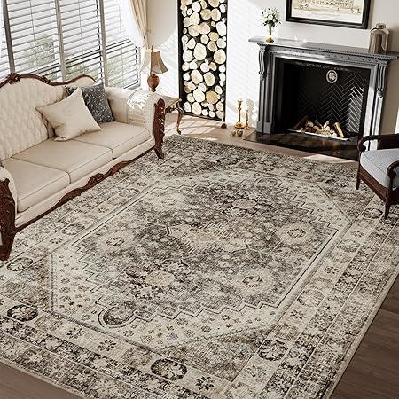 5x7 Area Rugs for Living Room Rug Machine Washable Rug Carpet Rugs