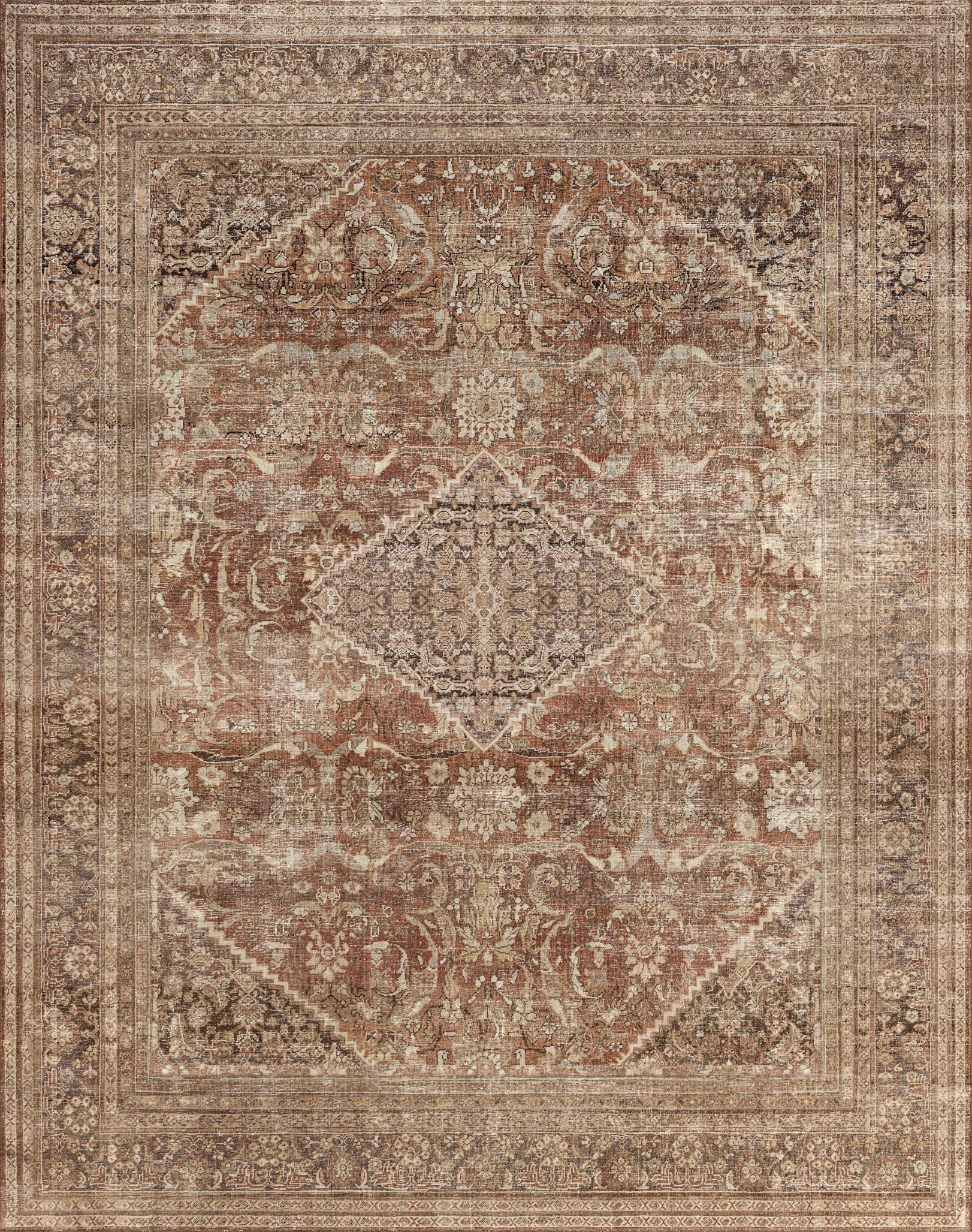 6x9 Area Rugs, Stain Resistant Washable Rug for Living Room, Vintage Inspired Rug